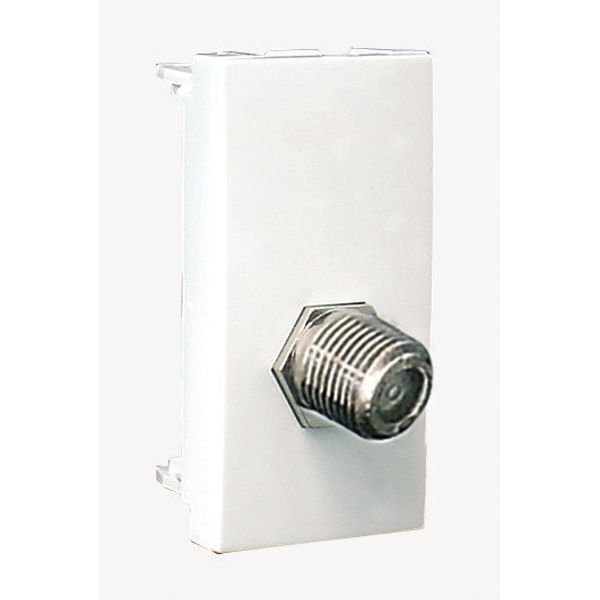 MOD W/1 COAXIAL TYPE F CONNECTOR-1 MOD WHIT image 1