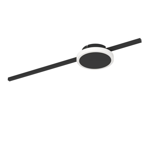 SARGINTO wall/ceiling light 99608 image 1