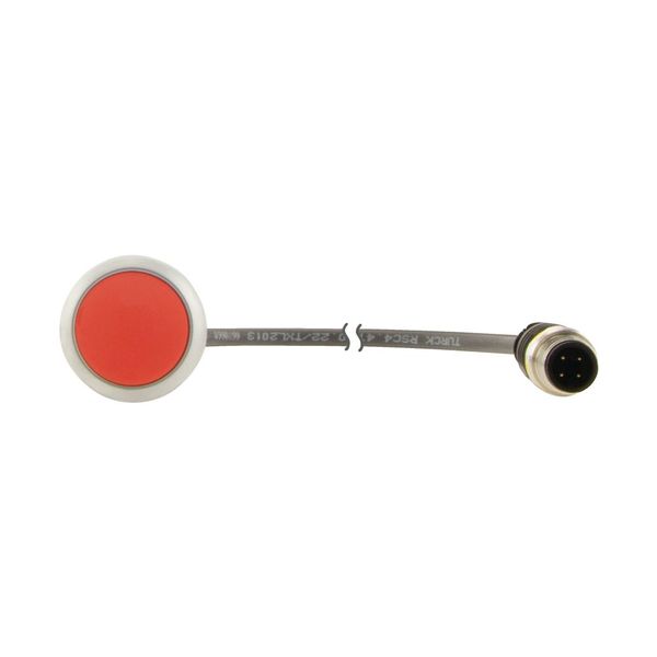 C22-D-R-K01-P1 Pushbutton, Flat, momentary, 1 NC, Cable (black) with M12A plug, 4 pole, 0.2 m, red, Blank, Bezel: titanium image 7