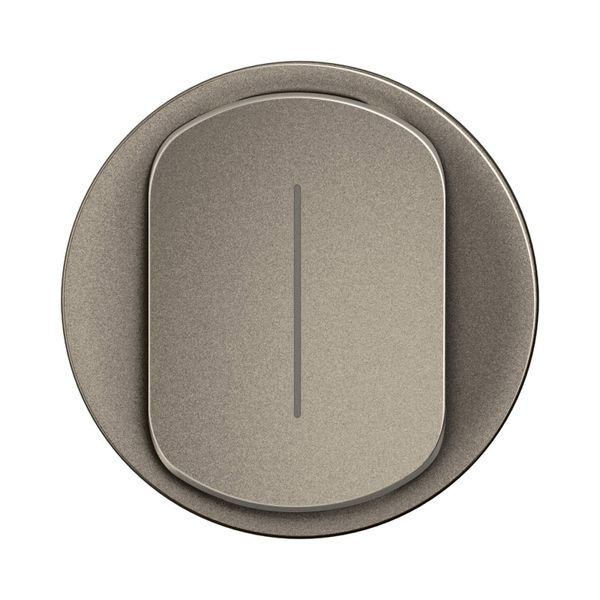 COVER PLATE INDICATOR CELIANE TITANIUM image 4