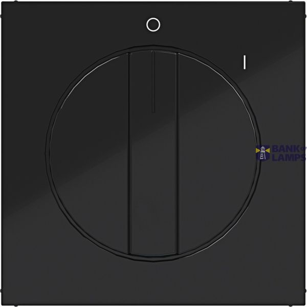 Rotary switch center plate, with markings 0-1, A.x/C.x night black glass. image 1