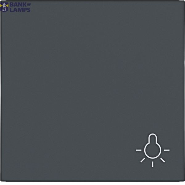 Rocker single, light symbol imprint, A.x/C.x, anthracite image 1