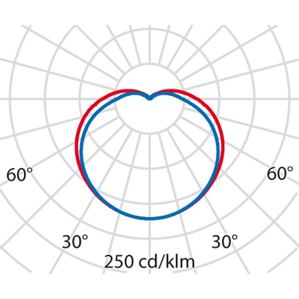EKO19 LED 830 WIT 6,5W image 7