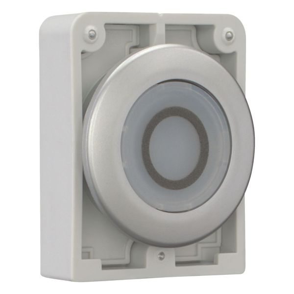 M30C-FDRL-W-X0 Illuminated pushbutton actuator, RMQ-Titan, Flat, maintained, White, inscribed 0, Metal bezel image 7