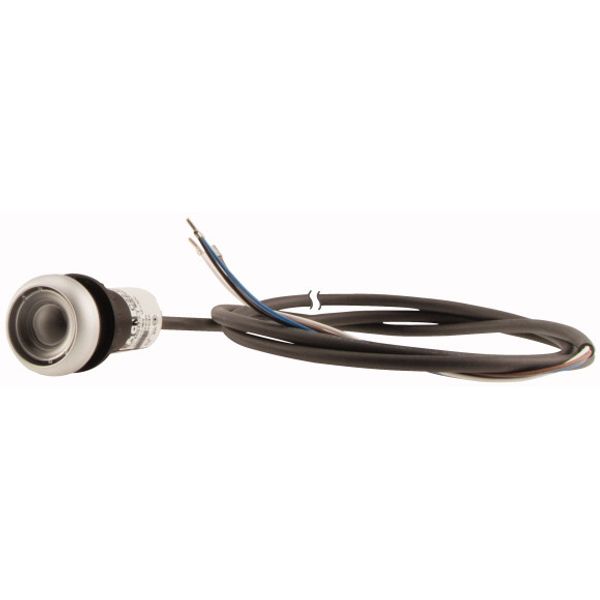 C22-DR-X-K01-P62 Pushbutton, classic, flat, maintained, 1 N/C, cable (black) with non-terminated end, 4 pole, 1 m image 3