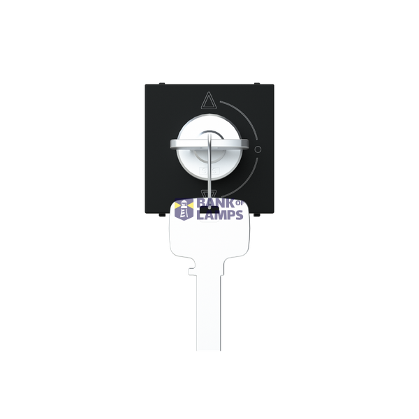 Key switch 3 positions - 2M - Matt Black image 1