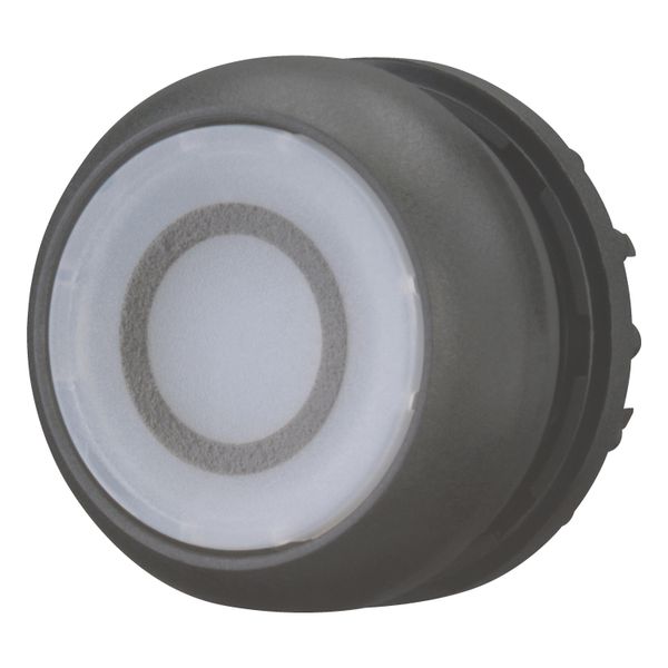 M22S-DL-W-X0 Illuminated pushbutton actuator, RMQ-Titan, Flush, momentary, White, inscribed 0, Bezel: black image 3
