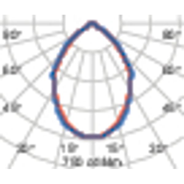 WIN PRO 30 250 S/EW 757 ZHAGA image 5