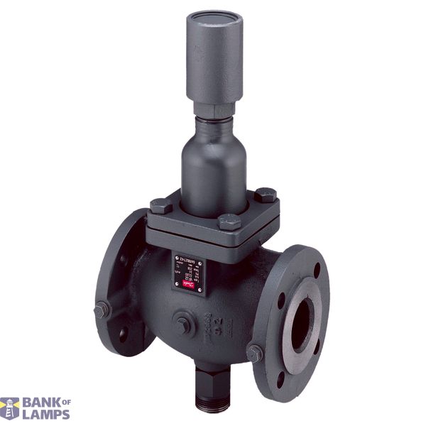 VFU 2 DN100 PN16 KVS125 image 1