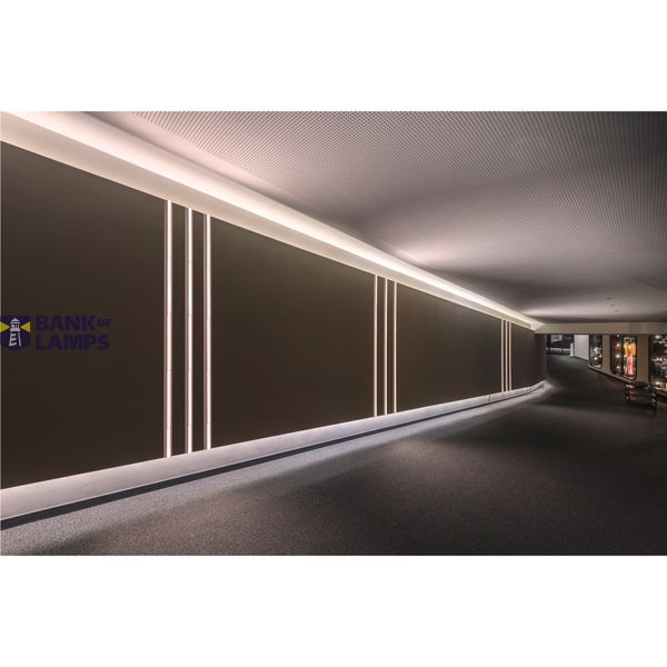IN-LINE 22 48V TRACK, opal, DALI, spot, white / white, 7.3W, 570lm, 3000K, CRI90, 95° image 2