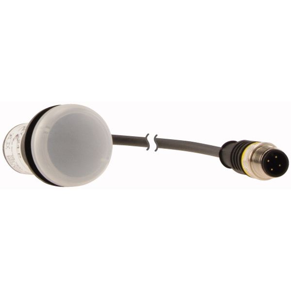 C22-L-W-24-P1 Indicator light, Flat, Cable (black) with M12A plug, 4 pole, 0.2 m, Lens white, LED white, 24 V AC/DC image 4