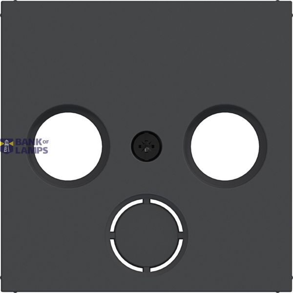 Central plate antenna socket 2/3-hole, extension, A.x/C.x, matte black image 1