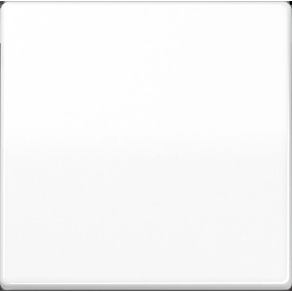 Cover plate, white AS591WW image 1
