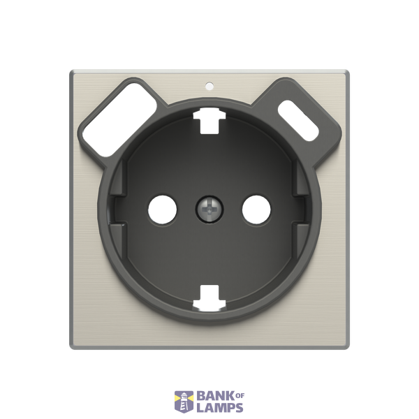Cover Schuko + USB A+C image 1