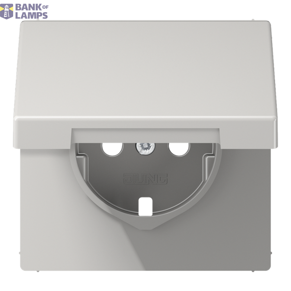 Central plate for SCHUKO® sockets, hinged cover, Duroplast, LS series, light grey image 1