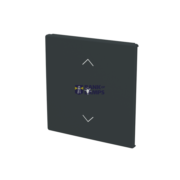 ESP 30Q/PT module image 2