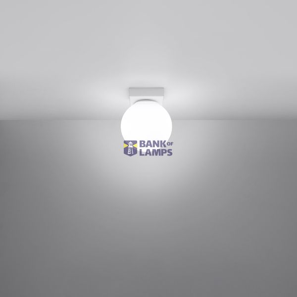 CEILING LAMP YOLI 1 WHITE G9 1X12 IP20 image 7