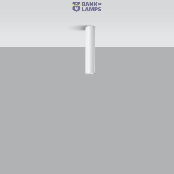 SPOT LAGOS 30 WHITE GU10 1X40W IP20 image 9