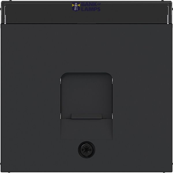 KeyStone 1-v central plate, dust shield, text field, A.x/C.x matte black image 1