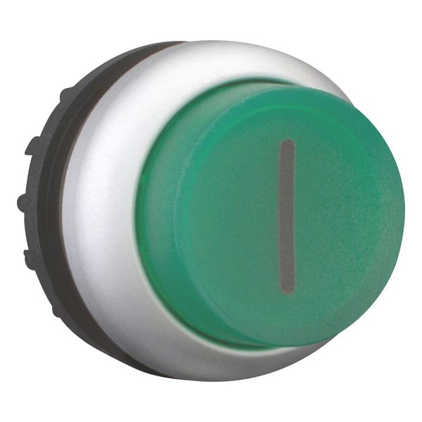 M22-DLH-G-X1 Illuminated pushbutton actuator, RMQ-Titan, Extended, momentary, green, inscribed, Bezel: titanium image 7