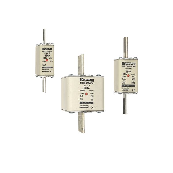 Fuse-link NH000 gG 500VAC 35A live tags Double indicator By 3 image 3