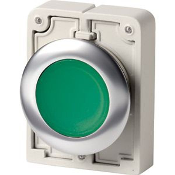 M30I-FDL-G Illuminated pushbutton actuator, RMQ-Titan, flat, momentary, green, blank, Front ring stainless steel image 2