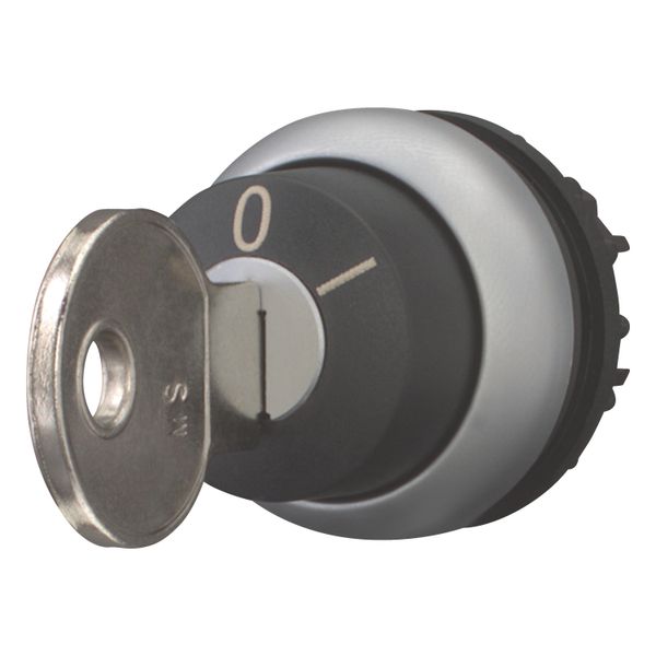 M22-WS-MS2 Key-operated actuator, momentary, 2 positions, MS2, Key withdrawable: 0, Bezel: titanium image 10