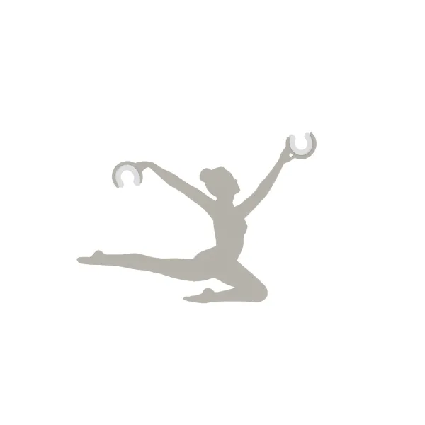 BALLERINA SILK GRAY image 1