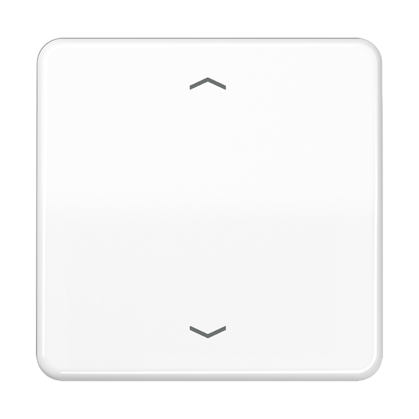 LB Management push-button 1-gang CD1700PWW image 4