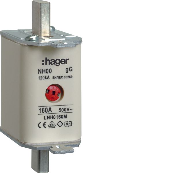 NH fuse NH00 gG 500V 160A central indi. image 1