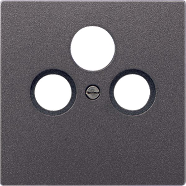 Centre plate AL2990SATAN image 1