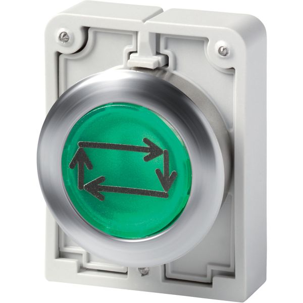M30I-FDL-G-X32 Illuminated pushbutton actuator, Flat Front (drilling dimensions 30.5 mm), flat, momentary, green, inscribed, Front ring stainless steel image 4