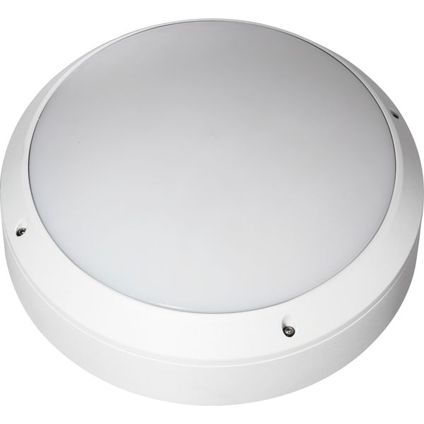 Ceiling/wall luminaire FO265.14V 9.5W/840 IP65 image 1