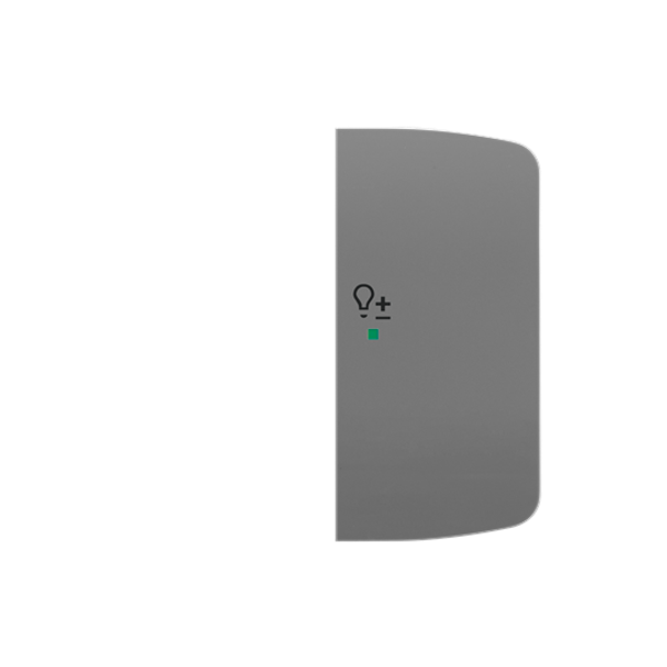 Rocker, 2gang right, with “Dimmer” icon image 1