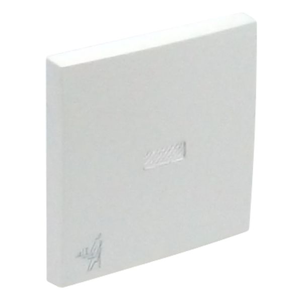 ROCK F/LIGHT SWITCH/PUSH-BUT W/MAID SYMB ICE image 1