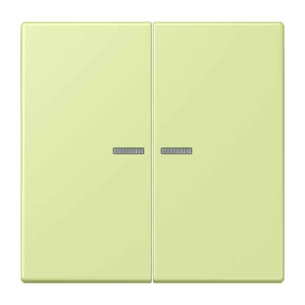 JUNG HOME push-button 2-gang BTLC17102222 image 1