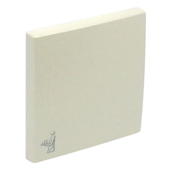 ROCKER F/SWITCHES W/MAID SYMBOL PEARL image 2