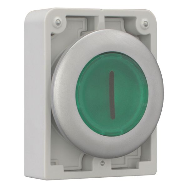 M30C-FDRL-G-X1 Illuminated pushbutton actuator, RMQ-Titan, Flat, maintained, green, inscribed, Metal bezel image 14