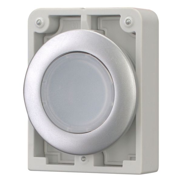 M30C-FDRL-W Illuminated pushbutton actuator, RMQ-Titan, Flat, maintained, White, Blank, Metal bezel image 5