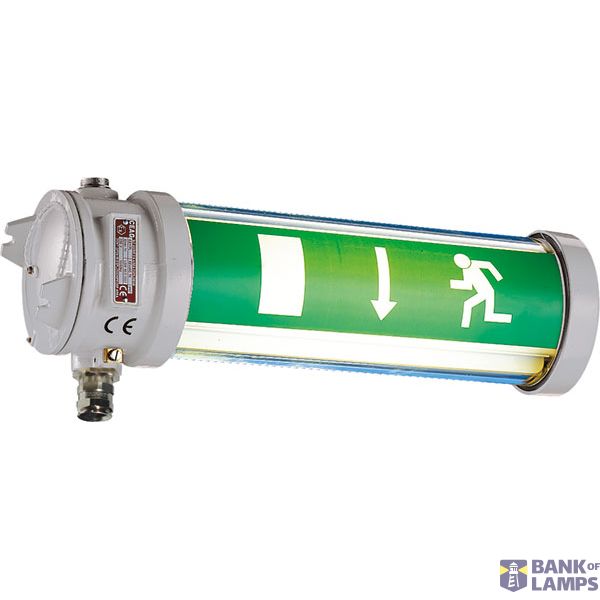 EMERGENCY LUM.ExdIIC 11W 127V EE11PL image 4