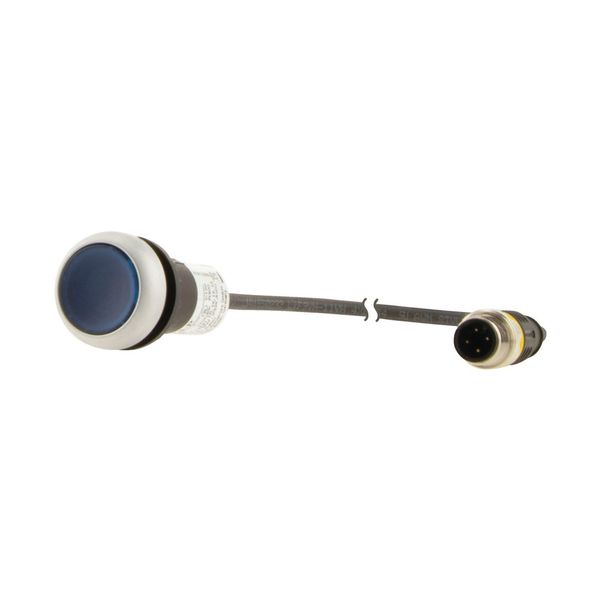 C22-DRL-B-K10-24-P3 Illuminated pushbutton actuators, maintained, blue, 24v, 1 N/O, with cable 0.5m and M12A plug image 9