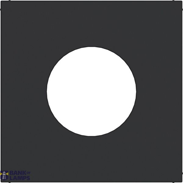 Central plate for push button/light signal E10, A.x/C.x, night black matte image 1