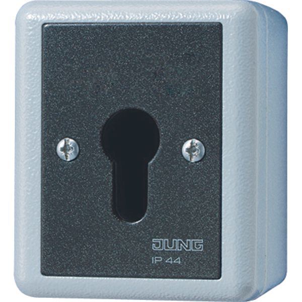 Key switch/push-button 833.18G image 1