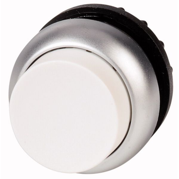M22-DH-W Pushbutton, RMQ-Titan, Extended, momentary, White, Blank, Bezel: titanium image 1