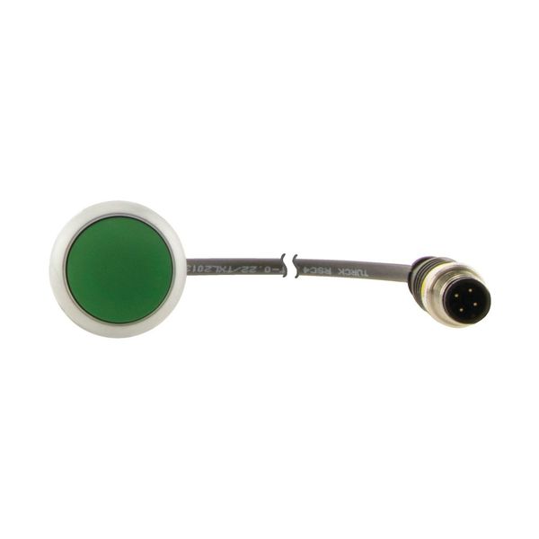 C22-D-G-K10-P3 Pushbutton, Flat, momentary, 1 N/O, Cable (black) with M12A plug, 4 pole, 0.5 m, green, Blank, Bezel: titanium image 7