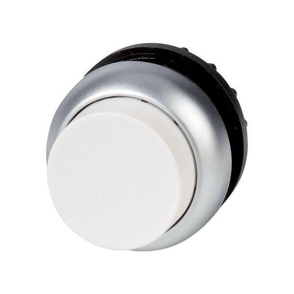 M22-DH-W Pushbutton, RMQ-Titan, Extended, momentary, White, Blank, Bezel: titanium image 6