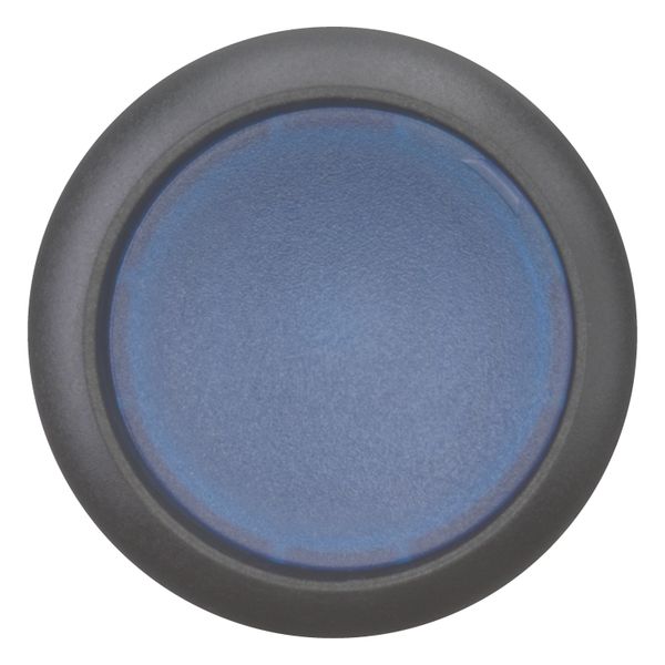M22S-DL-B Illuminated pushbutton actuator, RMQ-Titan, Flush, momentary, Blue, Blank, Bezel: black image 7