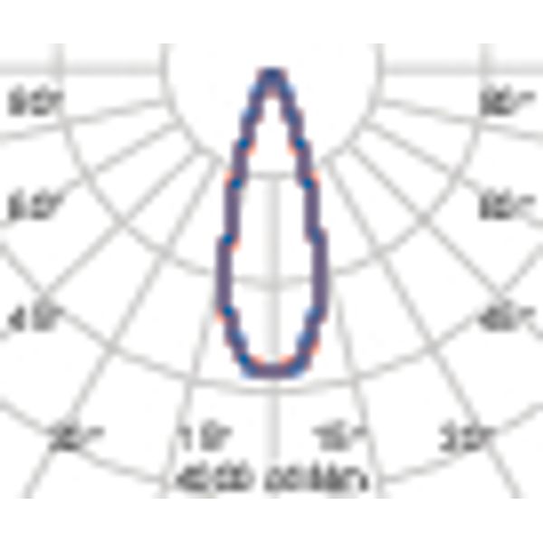 TYK+ 20 31 C/M 830 ANTHRACITE DALI image 5