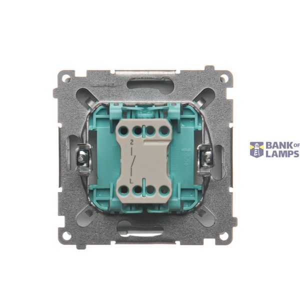 IP two-circuit switch, LED illuminated, (module), 10AX, quick connection, white image 1
