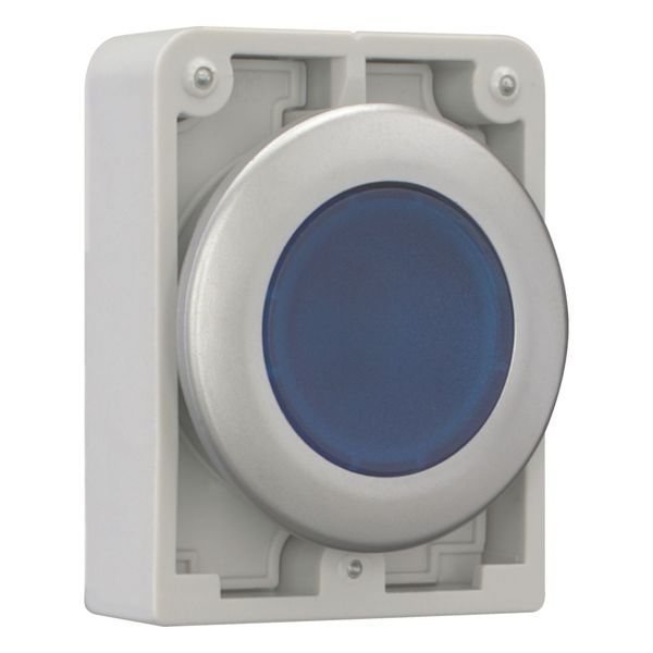 M30C-FDRL-B Illuminated pushbutton actuator, RMQ-Titan, Flat, maintained, Blue, Blank, Metal bezel image 13